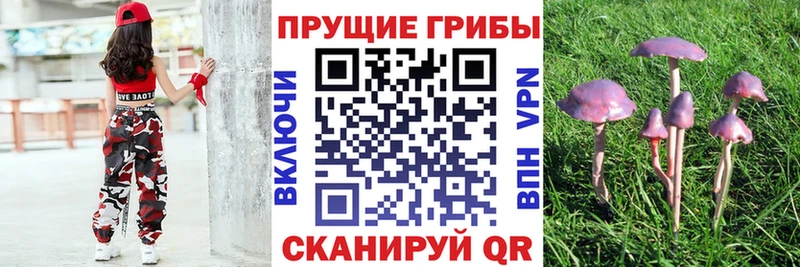Галлюциногенные грибы прущие грибы Родники