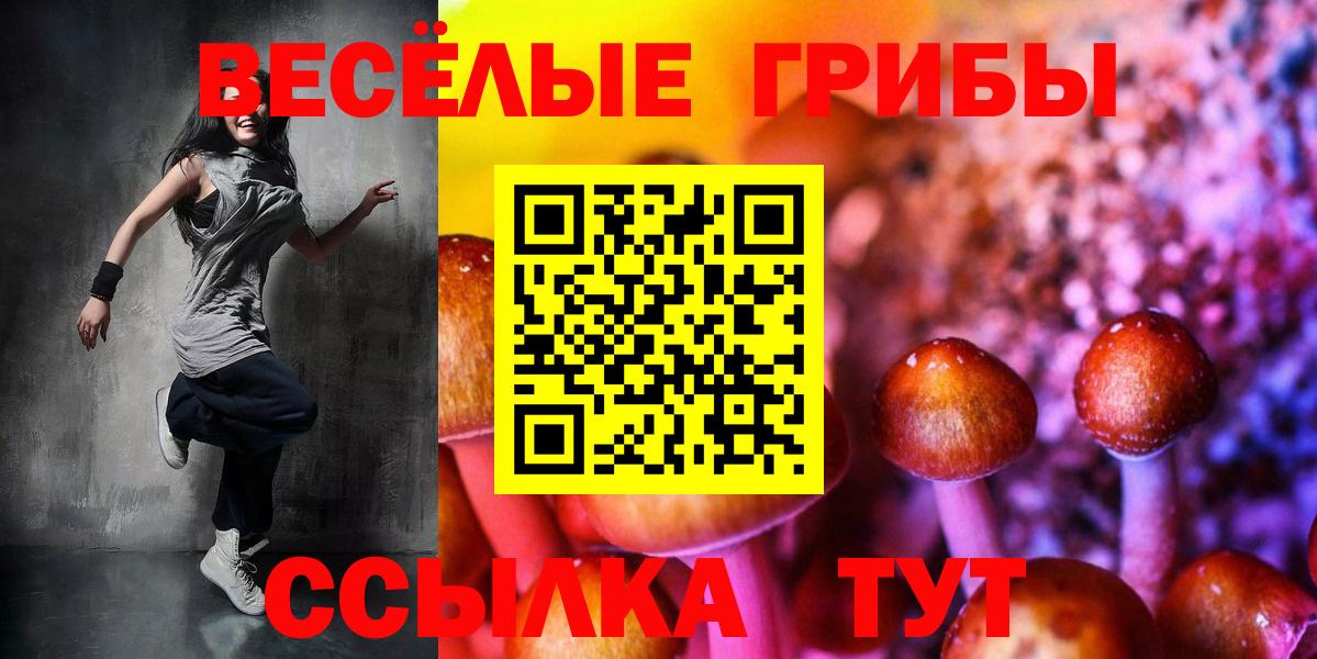 Галлюциногенные грибы Cubensis Родники