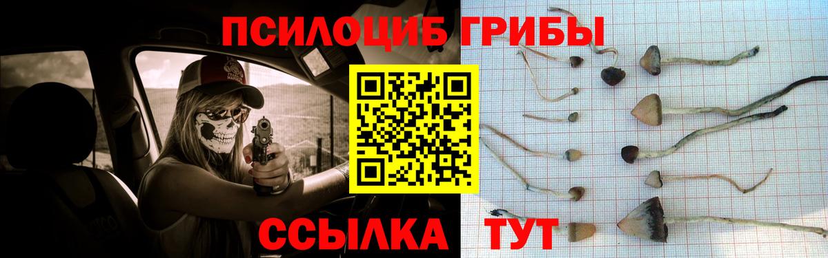 Галлюциногенные грибы Magic Shrooms  Вход с VPN  Родники  Псилоцибиновые грибы Magic Shrooms 